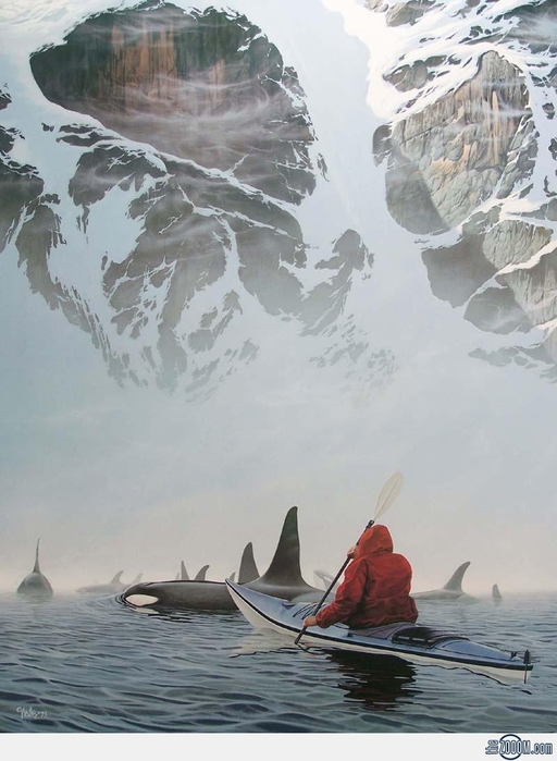 Kayaking-with-Orcas (512x700, 210Kb)