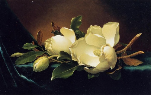 1385249919-martin-johnson-heade-1 (500x315, 133Kb)