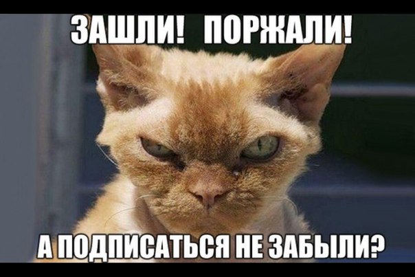 http://img1.liveinternet.ru/images/attach/c/0/118/447/118447863_YZT14jKVprU.jpg