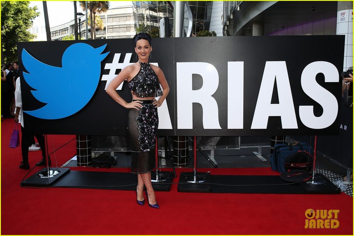 did-katy-perry-actually-dress-up-as-twisties-at-aria-awards-04 (700x468, 83Kb)