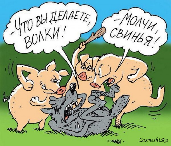 5680197_437Molchisvinya (600x514, 102Kb)