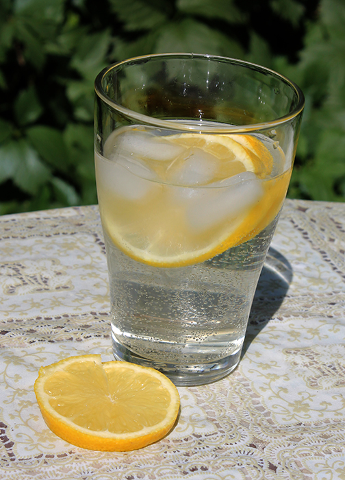4800487_limonad (504x700, 358Kb)
