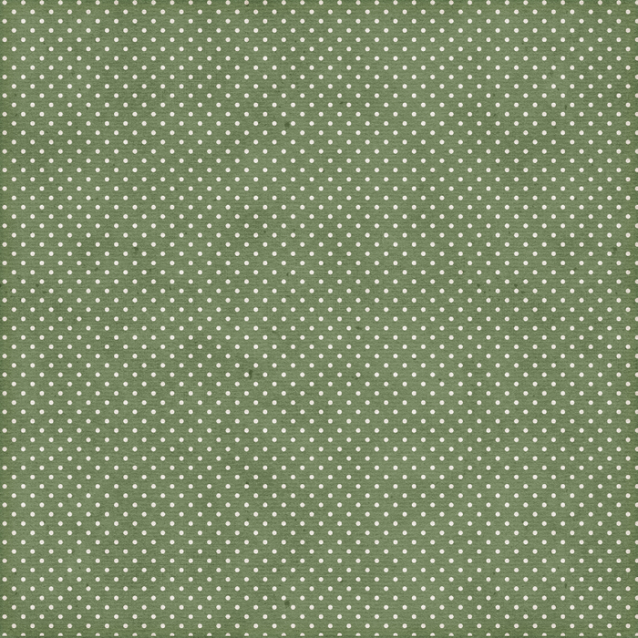 SheilaReid_ND2014BT_paper_greenpolkadot (700x700, 661Kb)