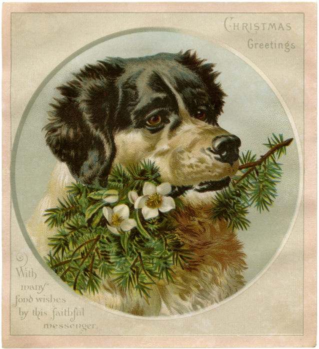 Vintage-Christmas-Dog-Image-GraphicsFairy-934x1024 (638x700, 510Kb)