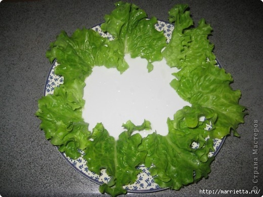 Куриный салат с листьями салата и сухариками (5) (520x390, 136Kb)