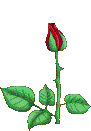 0_5de79_2c69c7bb_M (91x131, 22Kb)