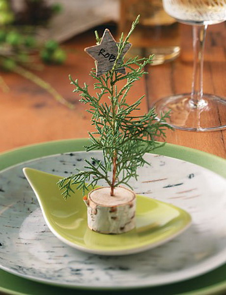 new-year-decorations-from-pine-branches-on-plate3 (460x600, 221Kb)