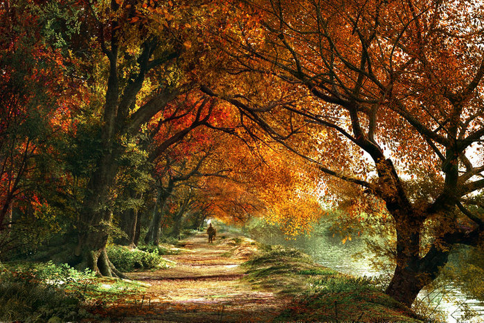 1298560356_50509741_forever_autumn_by_digital_dom (699x467, 609Kb)