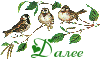 4248238_152 (100x59, 11Kb)