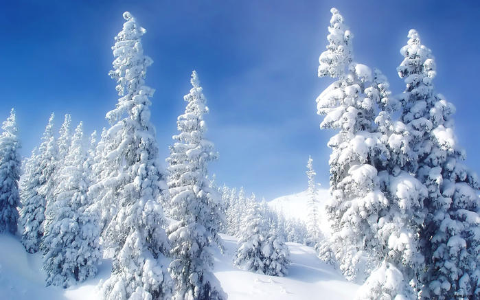 winter3921_Wallpapers-master.ru (700x437, 335Kb)