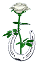 0_665af_72825153_orig (82x127, 54Kb)