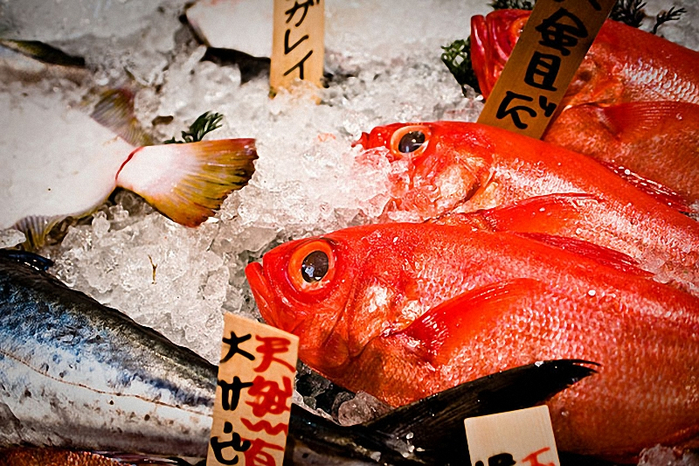 002_Tokyo-Fish-Market_9 (700x466, 504Kb)