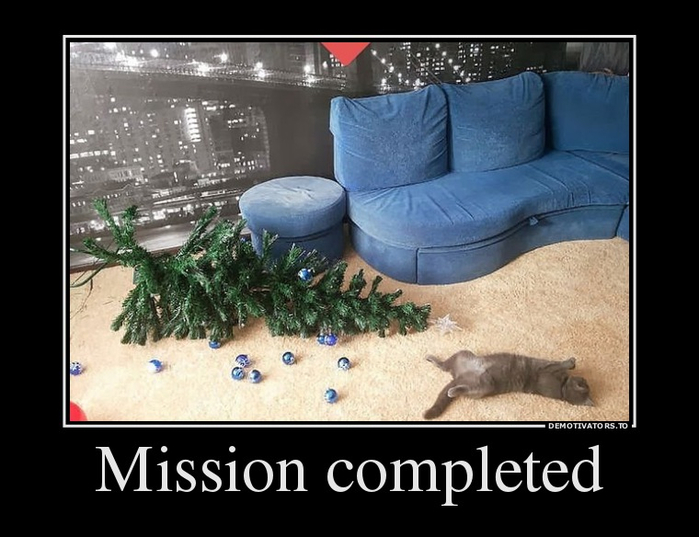 71642033_mission-completed (700x537, 261Kb)