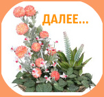 flower-arrangements-07-146x174 (152x141, 21Kb)