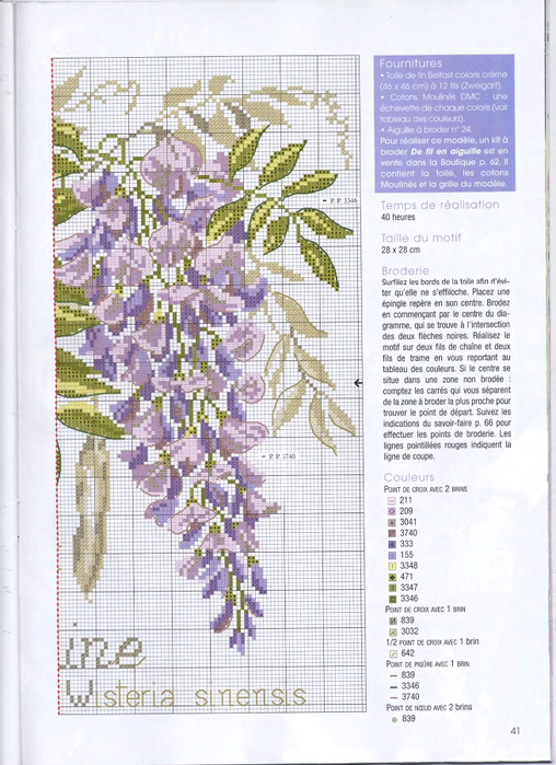DFEA HS 28 Etudes de Botanique_34 (508x700, 416Kb)