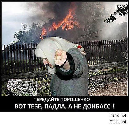 пирапр (492x477, 207Kb)