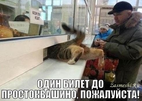 5680197_462VProstokvashino_1 (491x349, 46Kb)