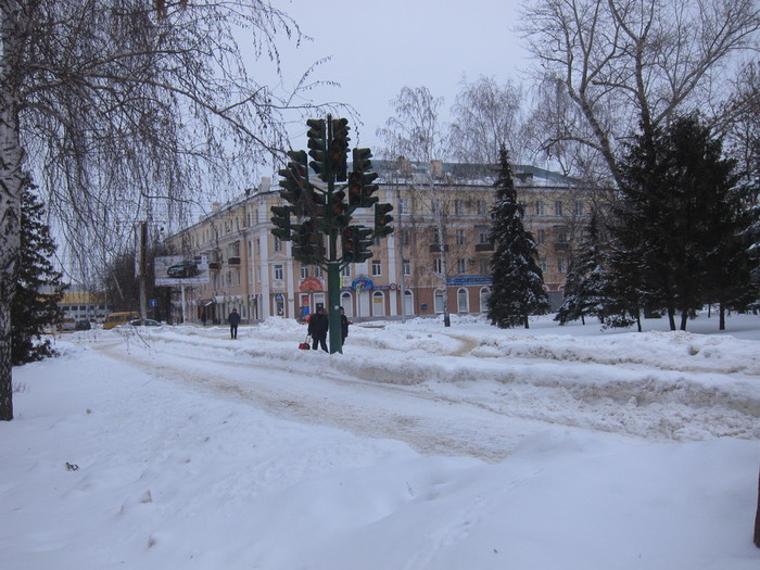 Пенза. Светофорное дерево