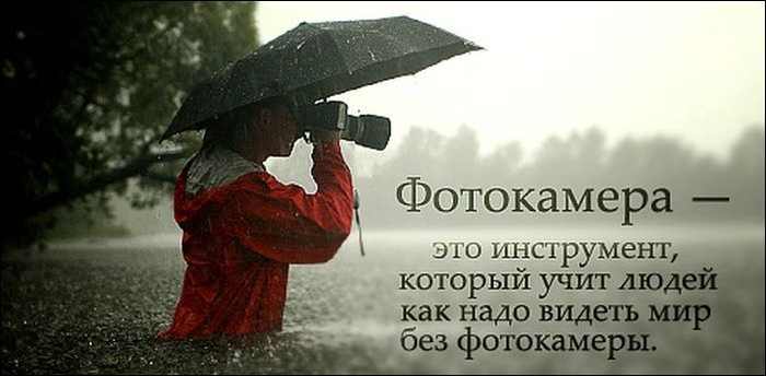 Цитаты о людях пера Цитаты о людях пера
