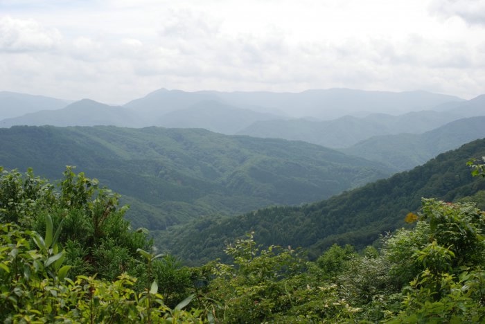 4 (700x468, 137Kb)