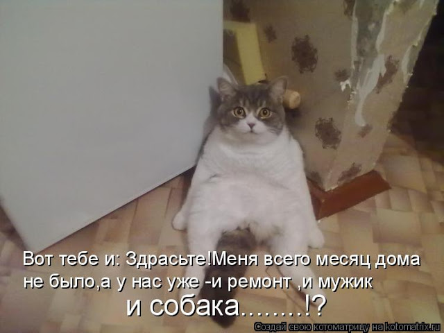 original (8) (640x480, 54Kb)