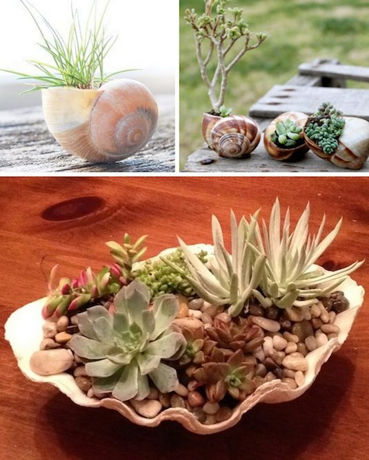 24-Creative-Garden-Container-Ideas-Use-shells-for-small-plants-22 (535x667, 334Kb)