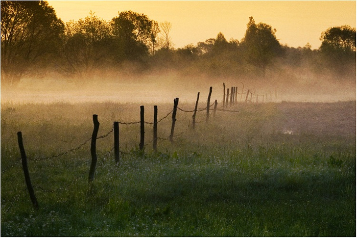 157998 (700x467, 356Kb)