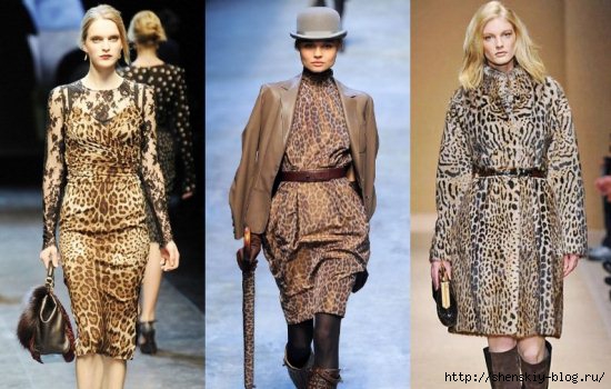 4121583_61070_leopardfashion1 (550x350, 137Kb)