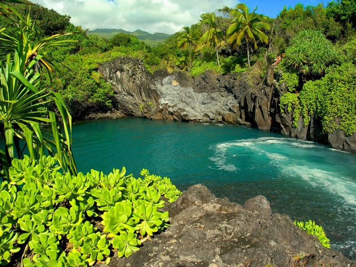 Великолепные сады острова Мауи 1 (700x524, 553Kb)