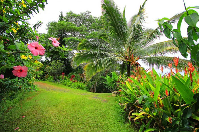Великолепные сады острова Мауи 3 (700x466, 509Kb)