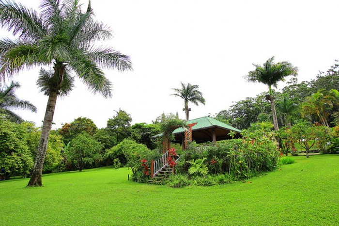 Великолепные сады острова Мауи 5 (700x466, 364Kb)
