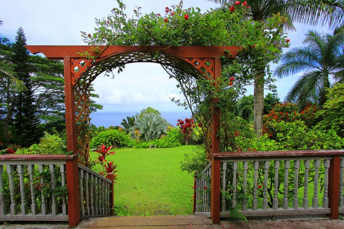 Великолепные сады острова Мауи 11 (700x466, 490Kb)