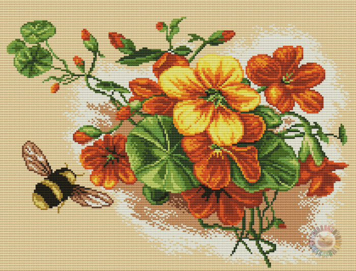 Latinki (700x533, 684Kb)