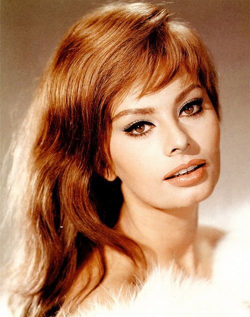 Sophia Loren photo (1) (500x633, 60Kb)