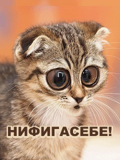 http://img1.liveinternet.ru/images/attach/c/0/120/817/120817735__131B41BMP.jpg