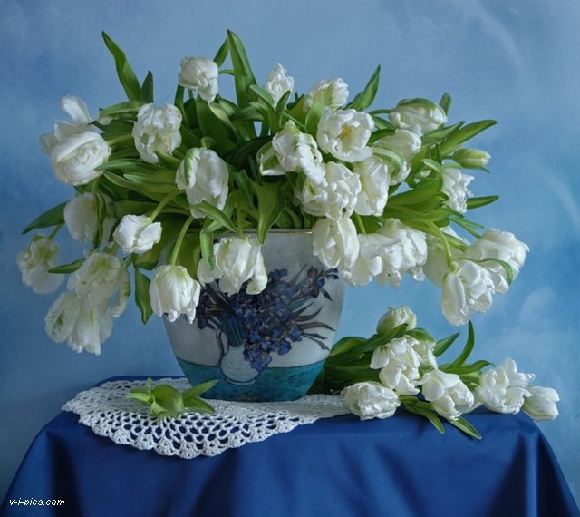 Натюрморт с тюльпанами bouquet000794vipics (640x570, 67Kb)