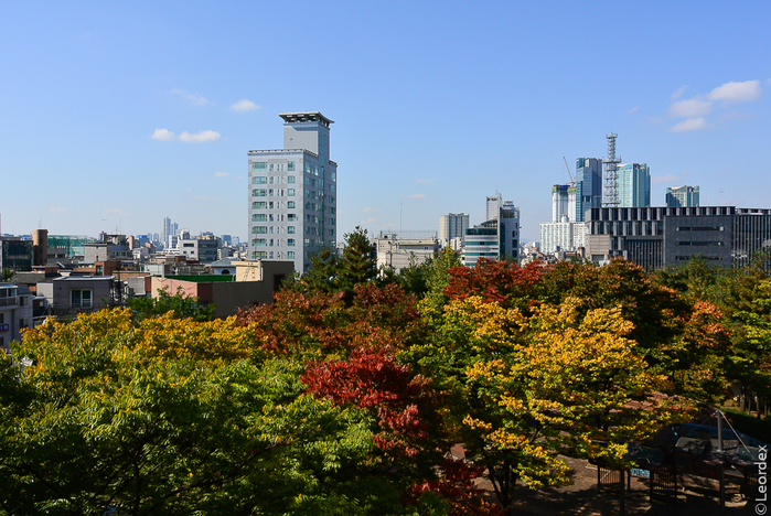 653998_DSC_2048 (700x468, 451Kb)