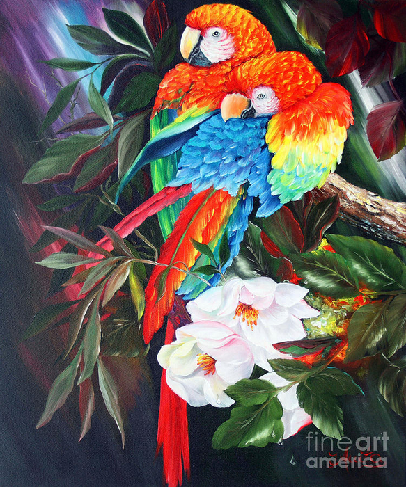 a-couple-of-parrots-ilona-anita-tigges-goetze (583x700, 643Kb)