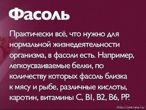 РїРѕР»РµР·РЅС‹Рµ СЃРІРѕР№СЃС‚РІР° РїСЂРѕРґСѓРєС‚РѕРІ 9 (600x450, 171Kb)