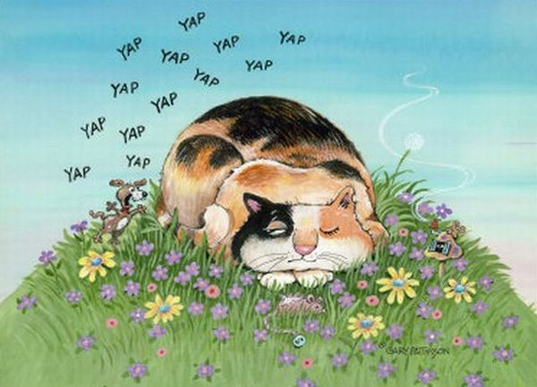 Смешные коты от Gary Paterson 28 (600x433, 208Kb)