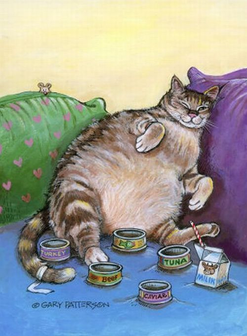 Смешные коты от Gary Paterson 16 (500x679, 247Kb)