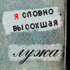  (100x100, 29Kb)