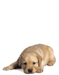  (116x147, 47Kb)