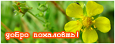  (167x64, 45Kb)