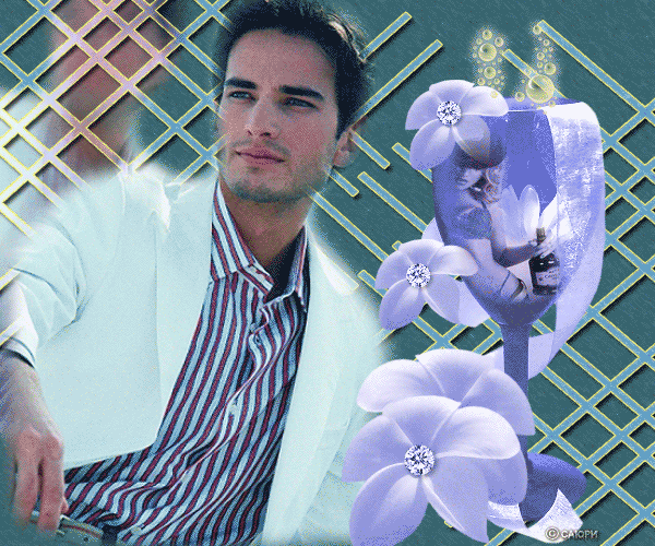 http://img1.liveinternet.ru/images/attach/c/0/31/530/31530326_M3in.gif