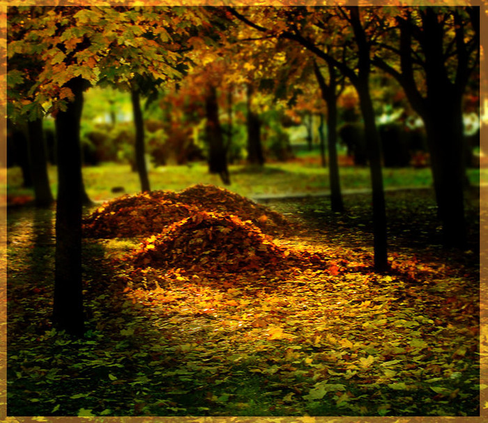  (700x606, 207Kb)