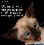 2466698_10086816 (143x149, 15Kb)