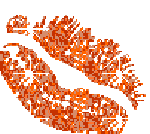  (150x134, 5Kb)
