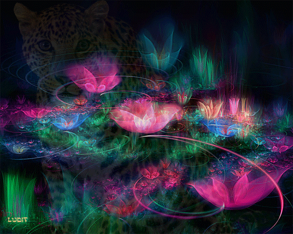 http://img1.liveinternet.ru/images/attach/c/0/35/311/35311271_02f183c20466.gif