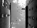     ,    (130x99, 3Kb)